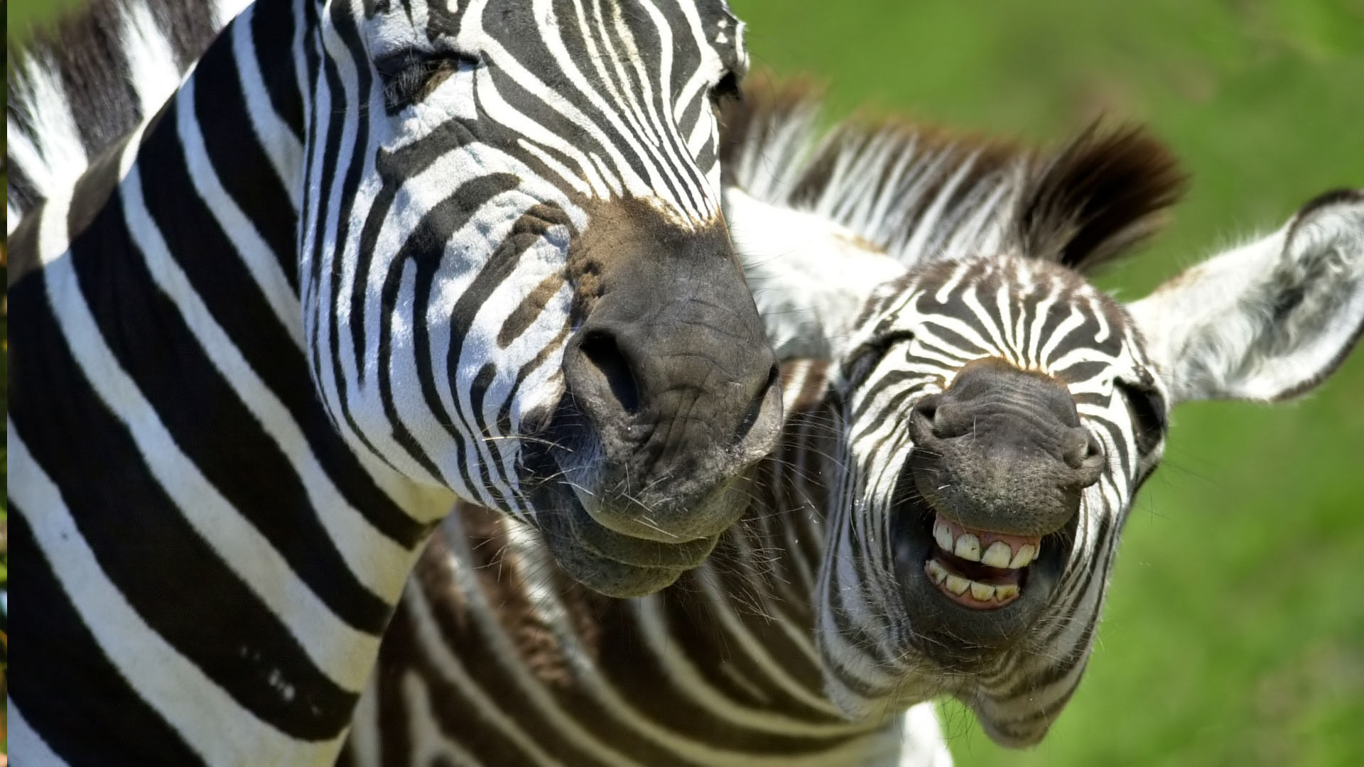 African Adventures