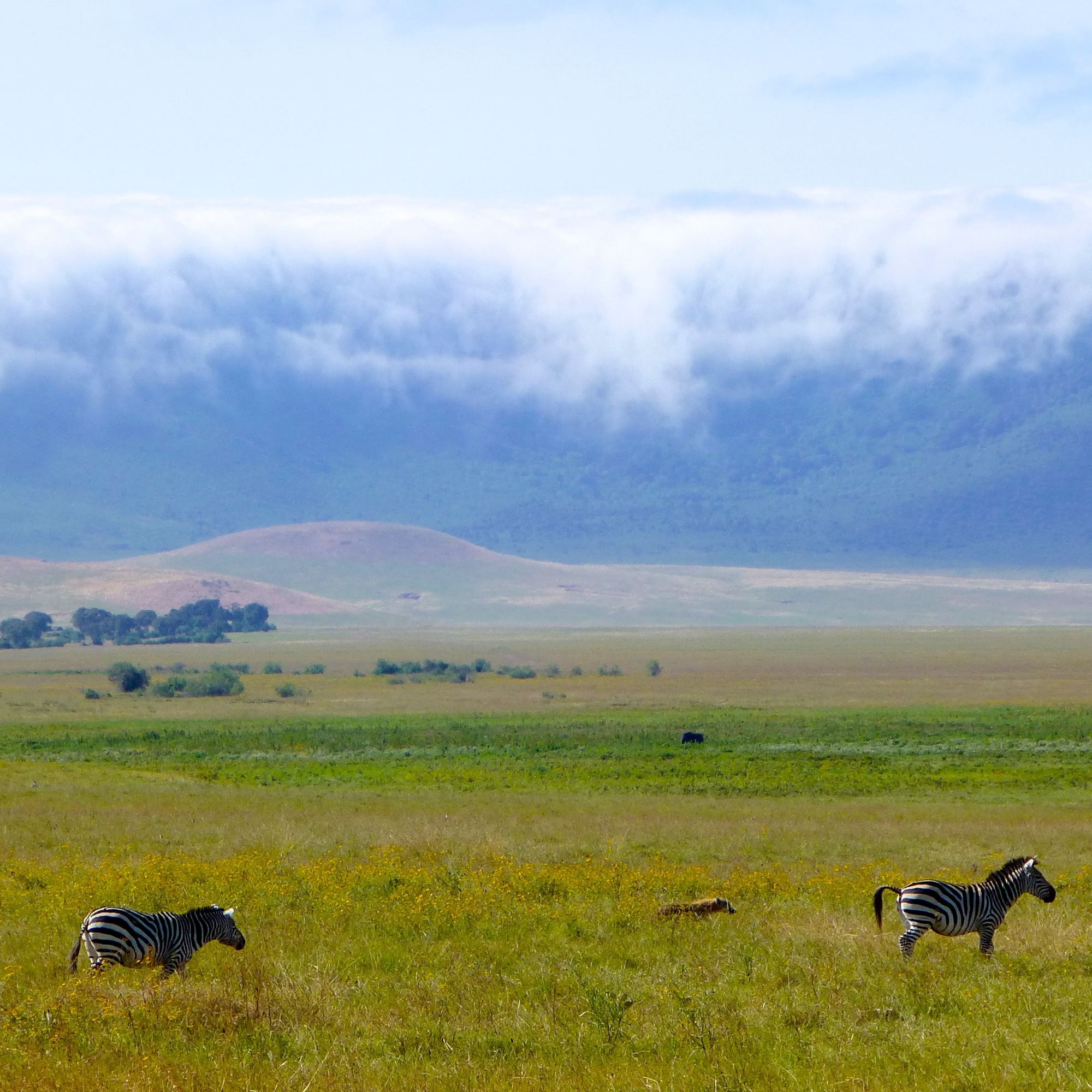 Travel to Ngorongoro crater with Boaz Adventure
